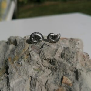 Ammonit Ohrstecker
